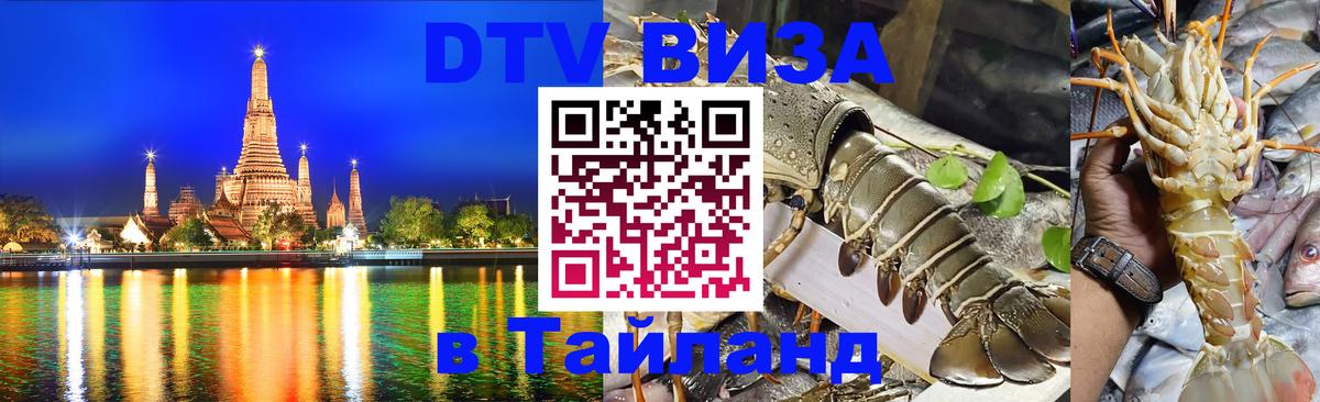 Сколько стоит DTV виза — актуальные цены, оформление даже без документов - Димитровград 